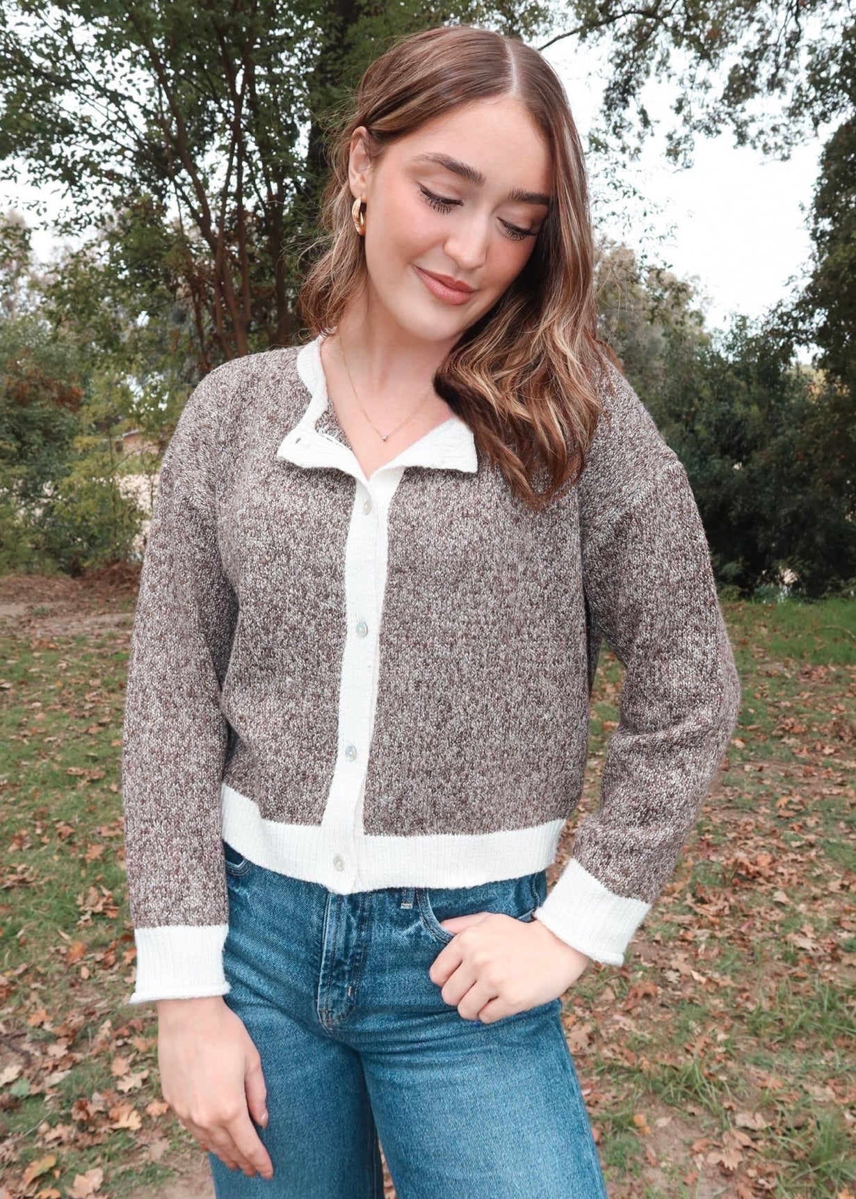 Briar Button-Up Sweater