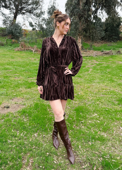 Nova Velour Mini Dress