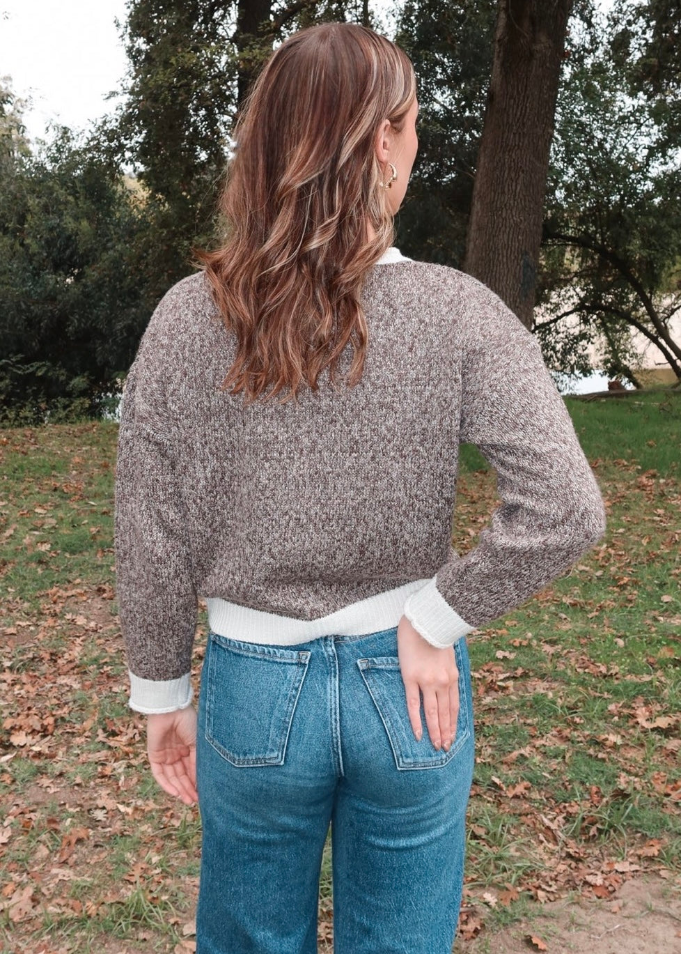 Briar Button-Up Sweater